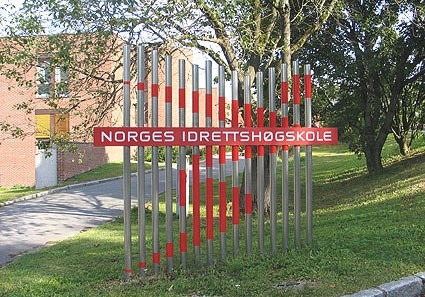 Idrettsfysioterapi ved NIH