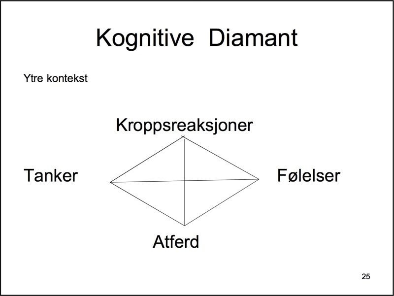Inspirasjon/ressurser: Norsk forening for kognitiv terapi (kognitiv.no)