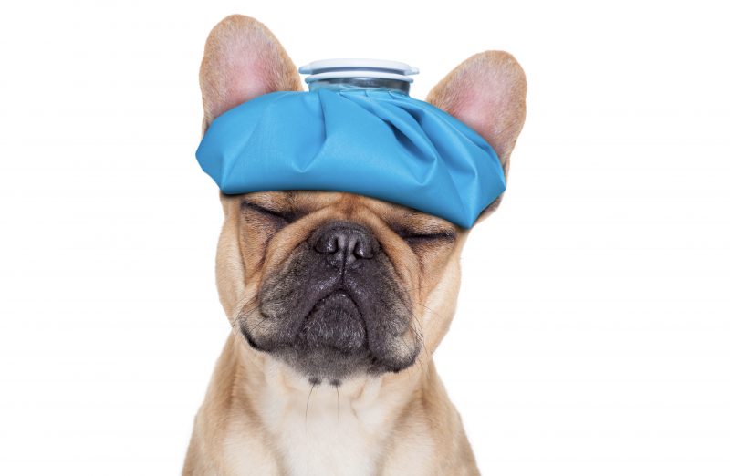 Behandling av akutte skader – hva kan DU gjøre?