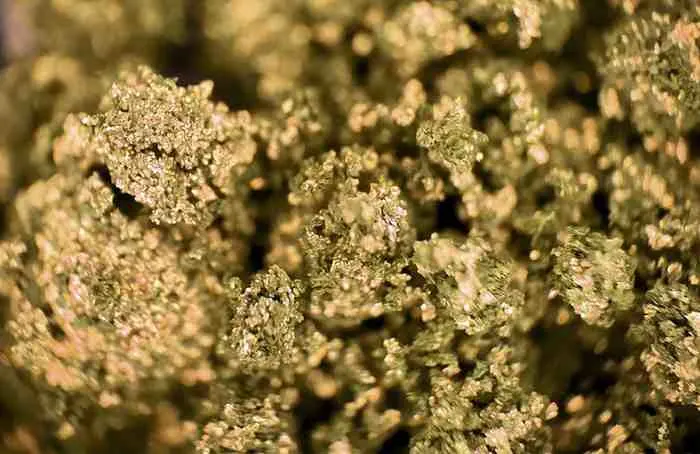 macro-photography-glitter-gold-pigment-scaled